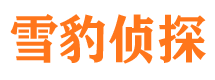 清水侦探公司